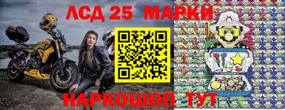 индика Партизанск