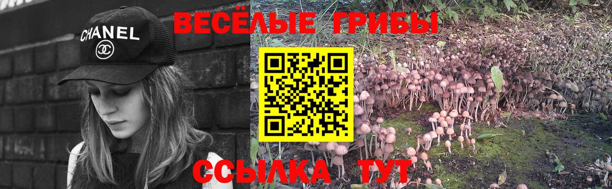 Галлюциногенные грибы Cubensis Ростов-на-Дону