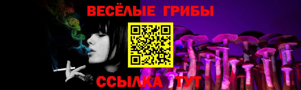 Галлюциногенные грибы GOLDEN TEACHER  Галлюциногенные грибы Psilocybine cubensis  Вход с VPN  Ростов-на-Дону 